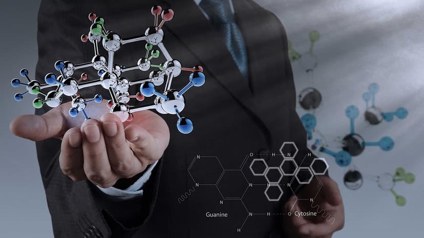 Company Branding Image