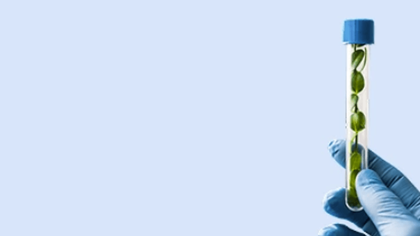 Company Branding Image