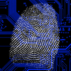 What is a Job in Security Anyway?