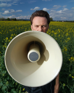 Bull Horn