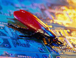 Bug on the Circuit Board Bug on the Circuit Board