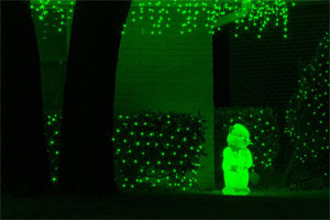 Green Bear Green Bear