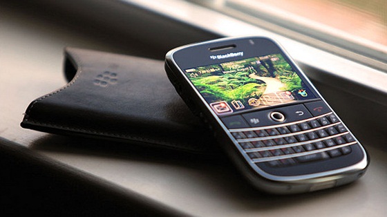 Blackberry Bold