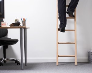 ClimbingLadder