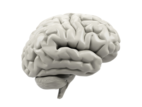 Hackathon Uses Massive Data from Brain Institute