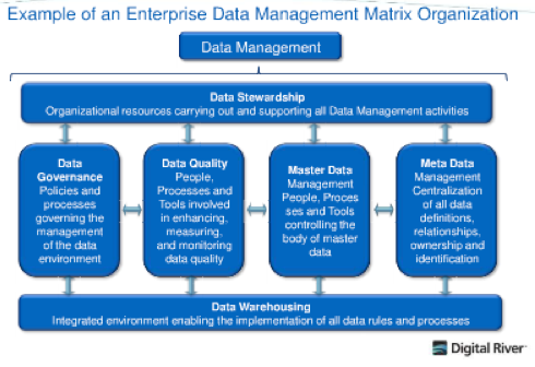 Do You Need a CDO?