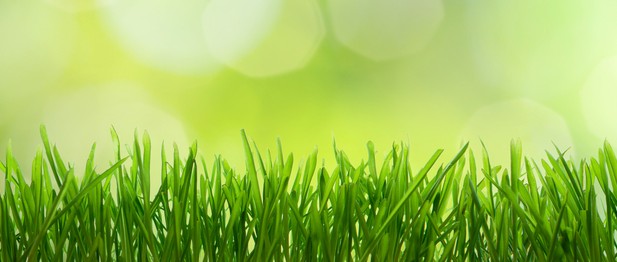 Green IT