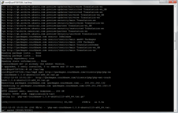 VPS Terminal Window with Putty