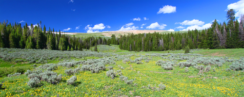 shutterstock_128139011