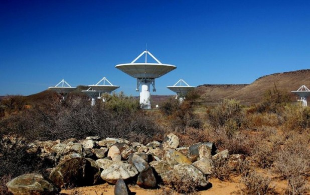 IBM array prototype