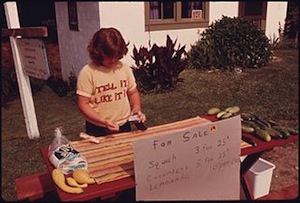 lemonade stand