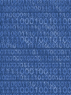 code33