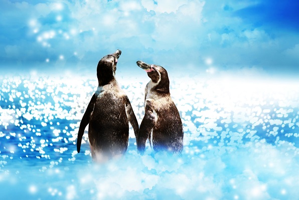 Penguin_cloud_linux vendors vmworld_Melpomene _shutterstock