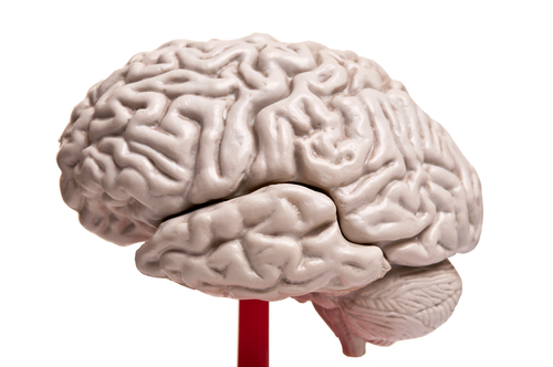 shutterstock_134220278