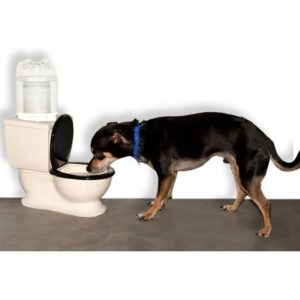 Toilet Dog Water Bowl