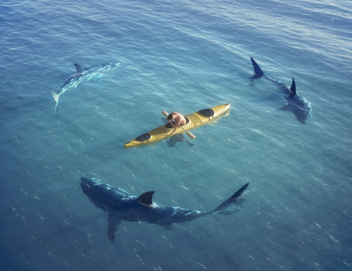 Surrounded by Sharks