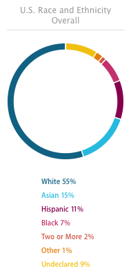 Apple Diversity Report