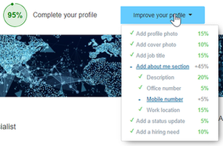 Recruiter profile summary.