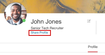 Recruiter profile link example.