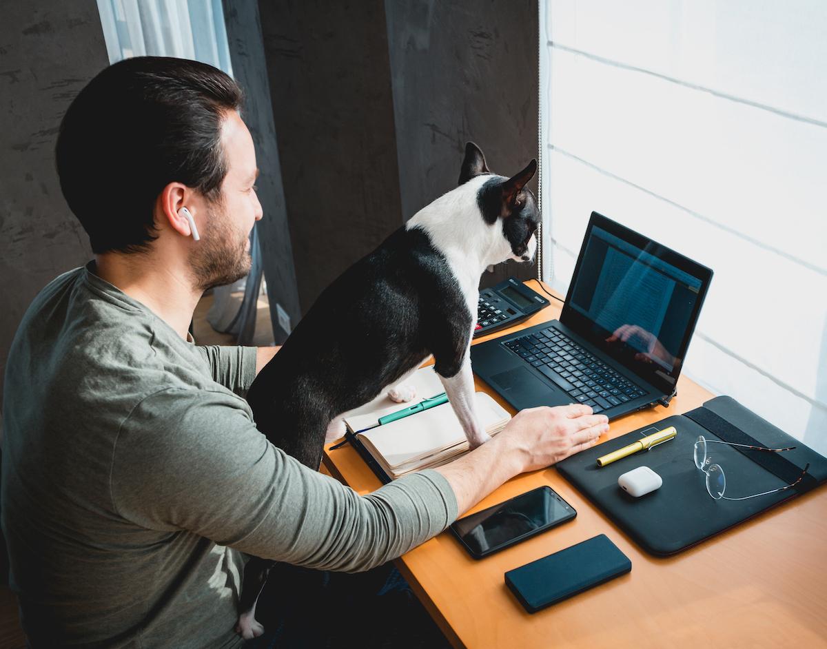 Cybersecurity Certifications: Do You Need Them to Land a Job?