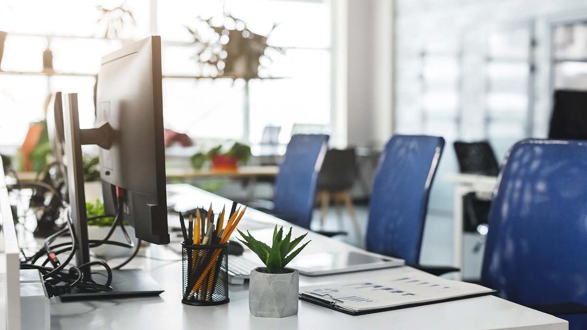 6 Entry-Level Tech Jobs AI Can't Replace: Your 2025 Career Guide