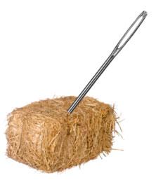 needle_haystack1.jpg Main image of article You Must, MUST, Customize Your Approach if You Want to Get the Job