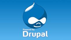 Main image of article Drupal Parent Plans Developer Training