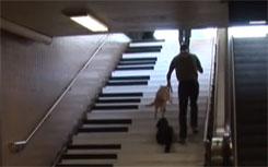 piano_stairs.jpg Main image of article Gamification in the Real World: VW's Experiment With Fun