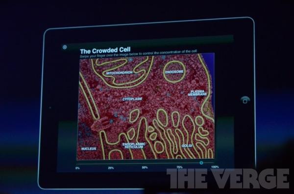 Main image of article Apple Dives into Interactive Textbooks
