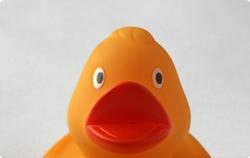 duck.jpg Main image of article VEVO Streams NFL Game Illegally