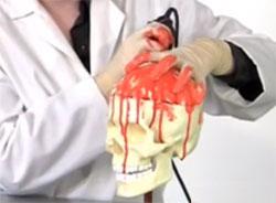 open_skull.jpg Main image of article What Recruiters Think When They Think About You