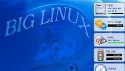 biglinux11-e1357166984571.jpg Main image of article Why You Should Stick With Linux