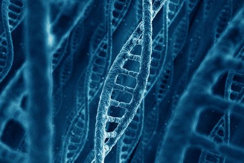 shutterstock_83880577.jpg Main image of article DNA: The Ultimate Hard Drive