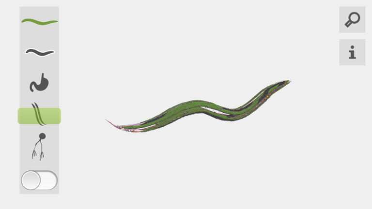 OpenWormApp.png Main image of article OpenWorm Uses Java to Plunge into Microbiology