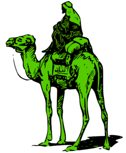 Silk-Road-Marketplace-Camel-246x300.png Main image of article Silk Road: A Lesson in Information Security