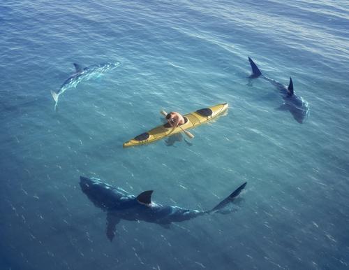 Surrounded-by-Sharks.jpg Main image of article Beware of These Traps in Employment Agreements