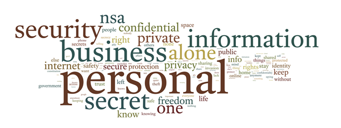 Main image of article Americans Fear for Their Privacy Online: Report