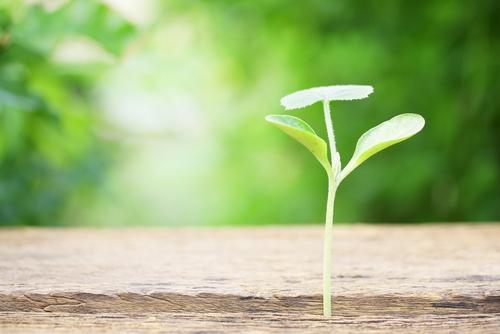 shutterstock_236470951.jpg Main image of article 5 Tips for Scaling Your Fast-Growing Startup