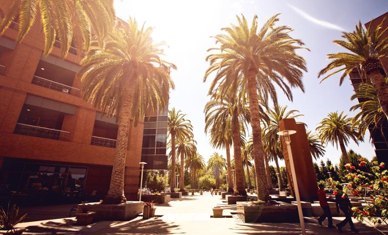 Main image of article Palo Alto's Mayor Wants to Ban Tech Firms