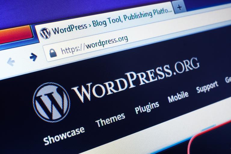 Main image of article Pursuing WordPress as a Career Path