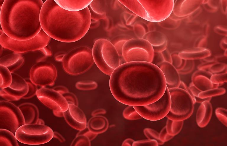 shutterstock_517660123.jpg Main image of article How to Tweak Your Résumé to Survive a Theranos-Sized Disaster