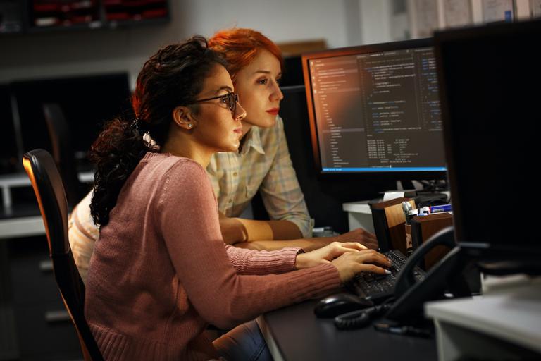 Main image of article How We Can Bridge the Software Engineering Gender Gap