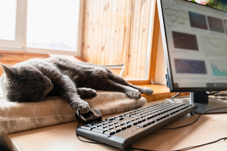 shutterstock_1692134227.jpg Main image of article Management Remains Key to Many Remote Work Positions
