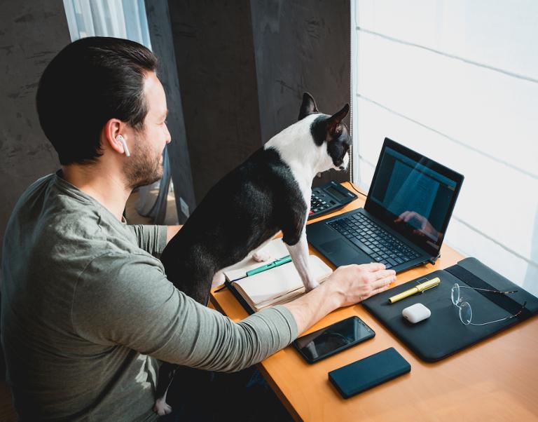 Main image of article Network Engineers, Sysadmins Enjoying Spike in Remote Work