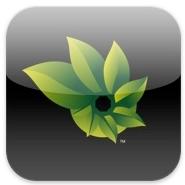 Go to article Microsoft Photosynth App Captures Interactive Panorama