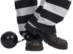 Go to article Google says NO to Congress's Proposed Anti-Piracy Law