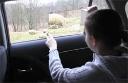Go to article Toyota's Smart Window Could Keep the Kids Quiet