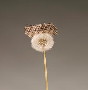 Go to article 'Ultralight Metallic Microlattice' is 100 Times Lighter Than Styrofoam