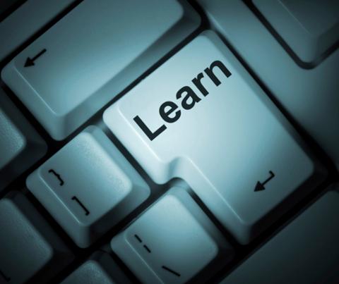 Go to article Why You Shouldn't Expect a Company to Train You
