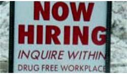 Go to article How to Get a Job at NetApp